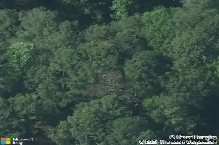 3134 danfield dr, columbia,  SC 29204