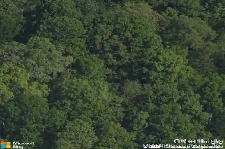 1023 jim wilson rd, fort mill,  SC 29707