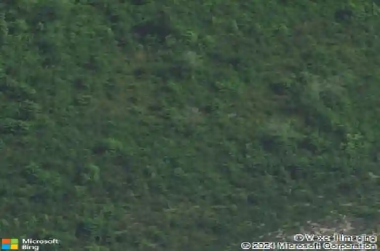 7112 bluff rd, hopkins,  SC 29061