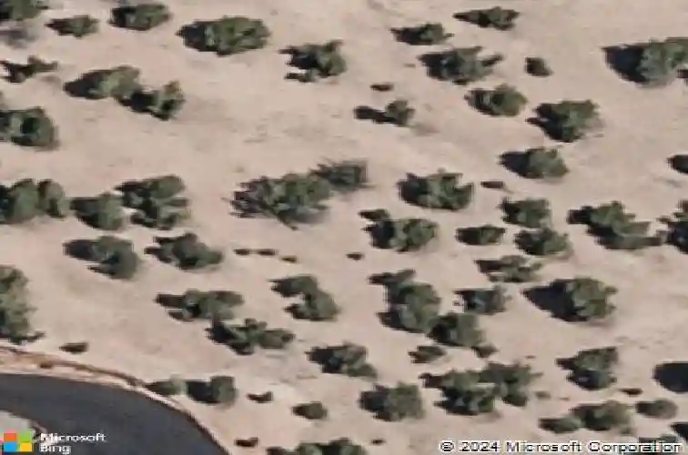 31 chocolate flower circle, santa fe,  NM 87506