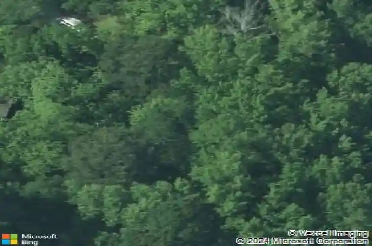 2428 chappelle st, columbia,  SC 29203