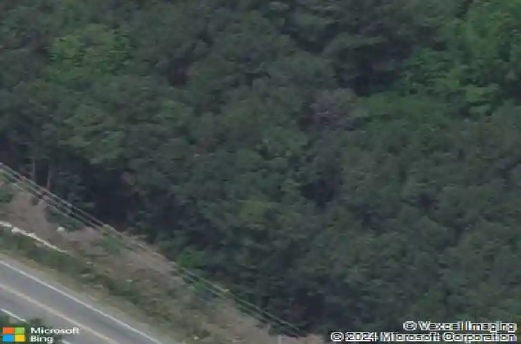 360 rabon rd, columbia,  SC 29223