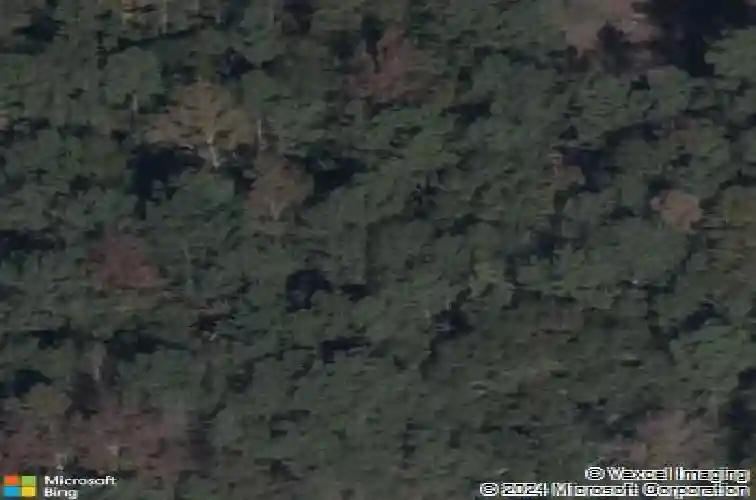 105 dunwoody pl, blythewood,  SC 29016