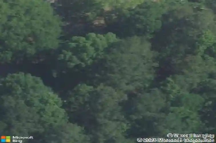 1108 furwood cir, columbia,  SC 29203