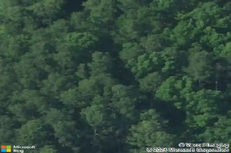 3839 ayrshire ave, columbia,  SC 29203