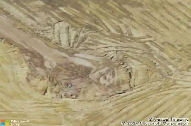 107 liam ct, guyton,  GA 31312