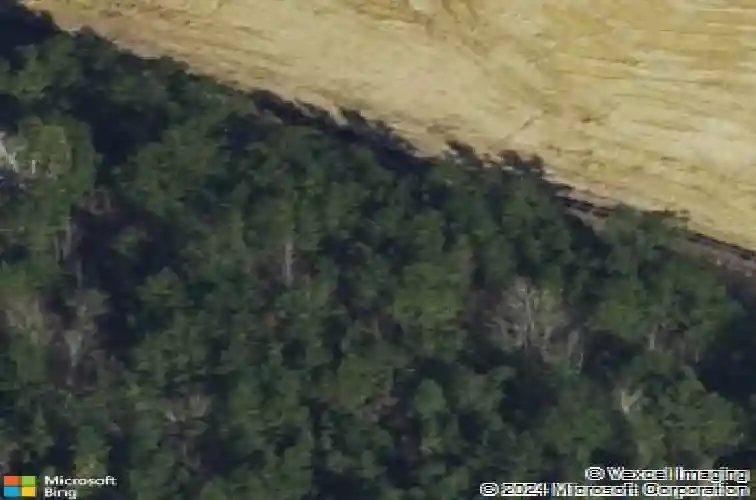 108 liam ct, guyton,  GA 31312