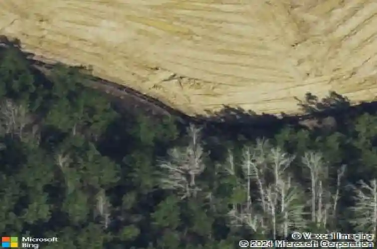 110 liam ct, guyton,  GA 31312