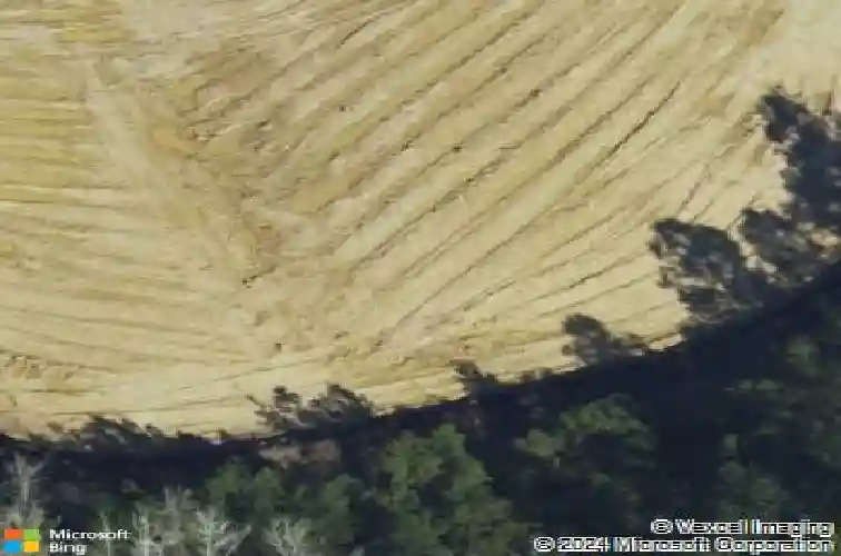 111 liam ct, guyton,  GA 31312