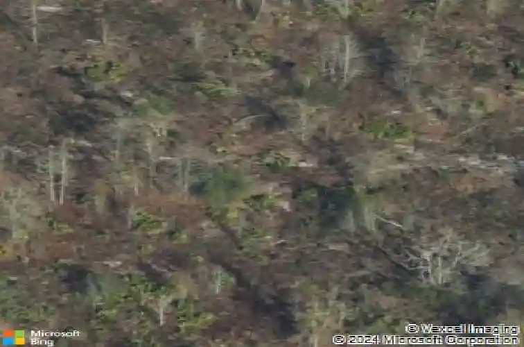 103 finch ln, guyton,  GA 31312