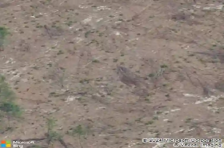 311 ridley hill lane, elgin,  SC 29045