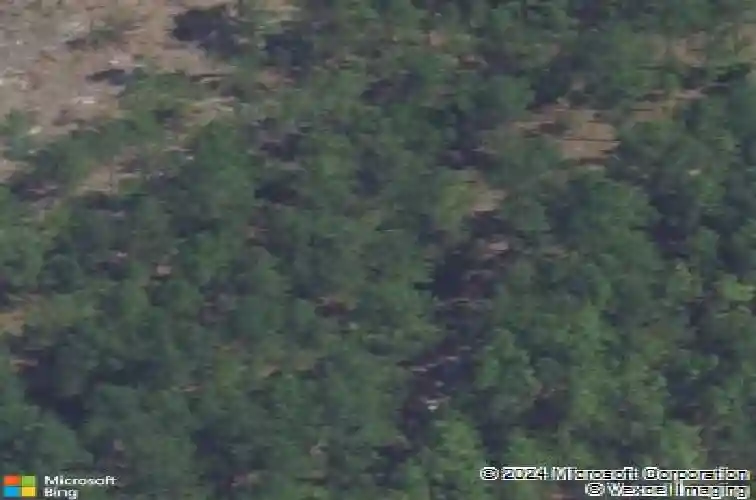 304 ridley hill lane, elgin,  SC 29045