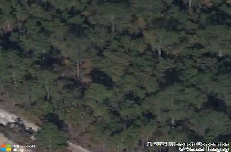 1029 peaceful fawn dr, elgin,  SC 29045