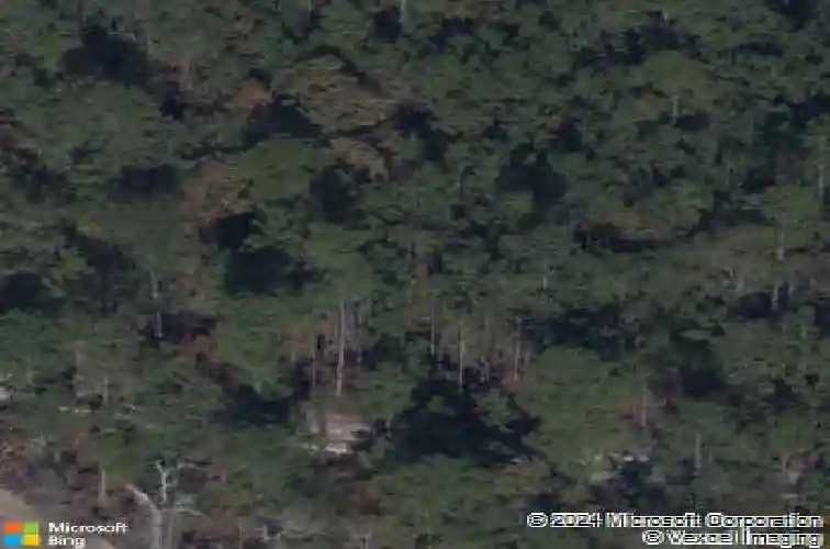 1023 peaceful fawn dr, elgin,  SC 29045