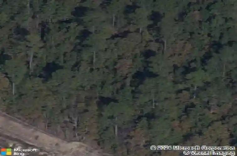 1015 peaceful fawn dr, elgin,  SC 29045