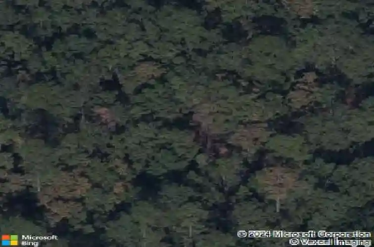 1014 peaceful fawn dr, elgin,  SC 29045