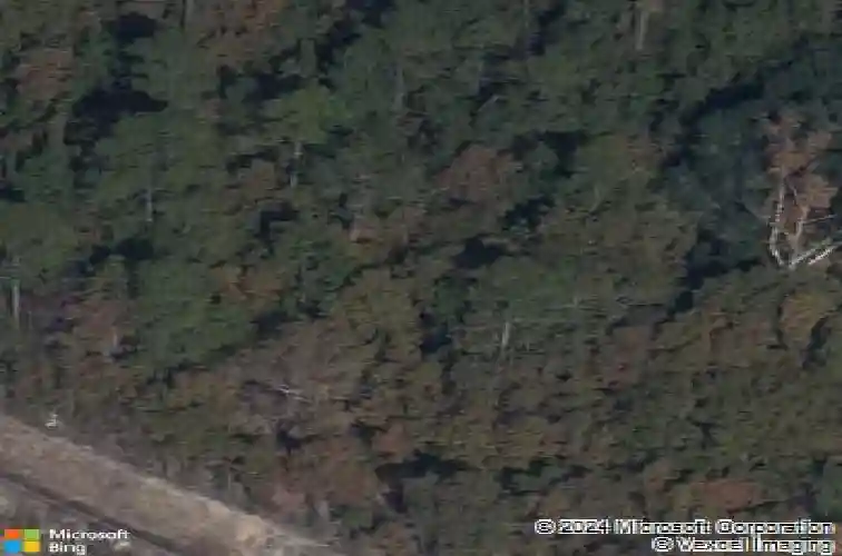 1011 peaceful fawn dr, elgin,  SC 29045