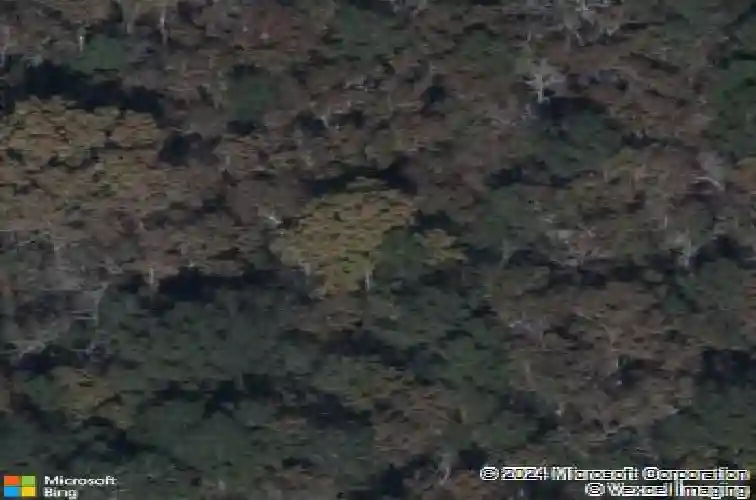 1049 peaceful fawn dr, elgin,  SC 29045