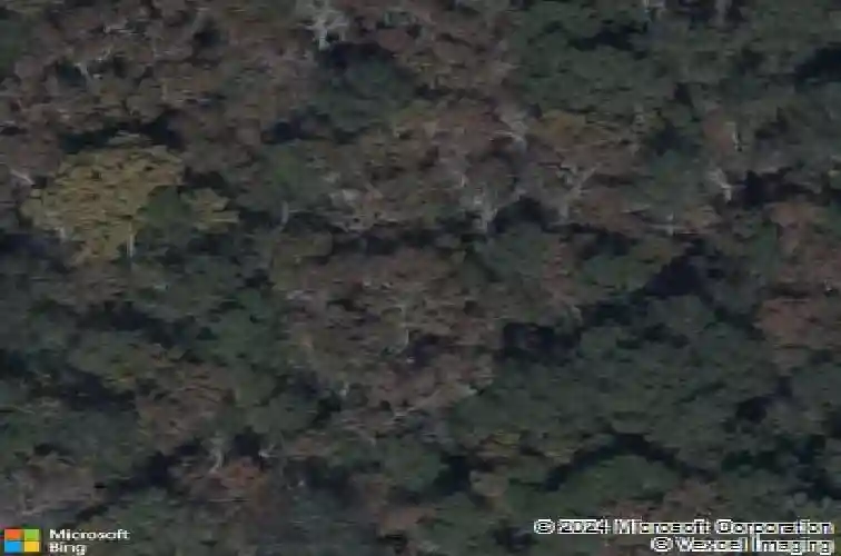 1047 peaceful fawn dr, elgin,  SC 29045