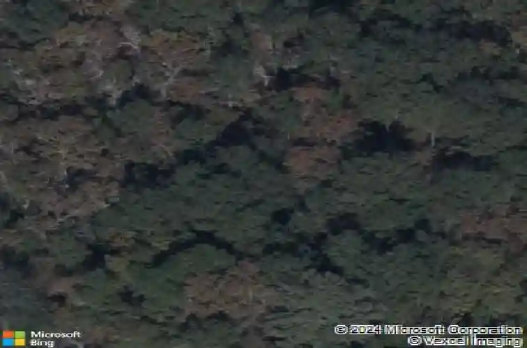 1045 peaceful fawn dr, elgin,  SC 29045