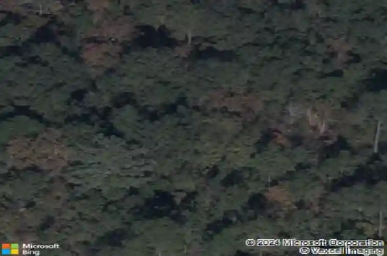 1043 peaceful fawn dr, elgin,  SC 29045