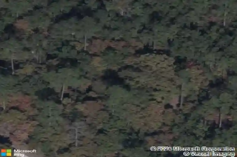 1037 peaceful fawn dr, elgin,  SC 29045