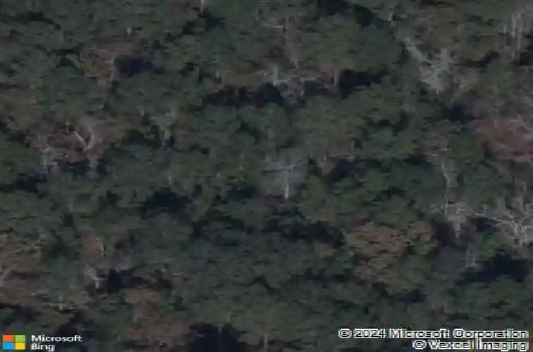 1048 peaceful fawn dr, elgin,  SC 29045