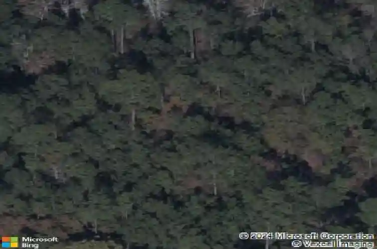 1040 peaceful fawn dr, elgin,  SC 29045