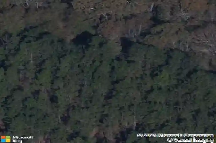 18 graceful doe ct, elgin,  SC 29045