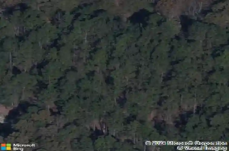 14 graceful doe ct, elgin,  SC 29045