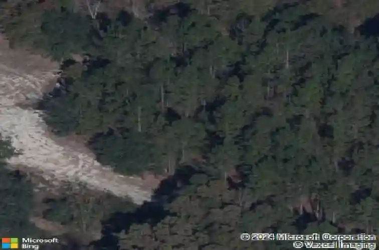 10 graceful doe ct, elgin,  SC 29045