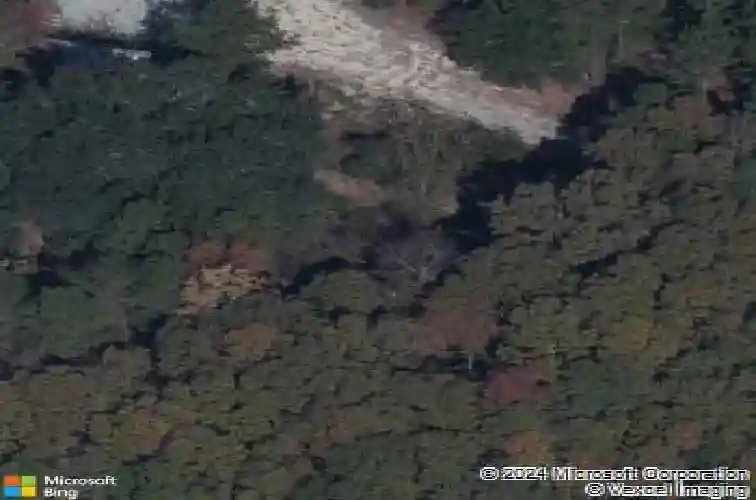 1006 peaceful fawn dr, elgin,  SC 29045