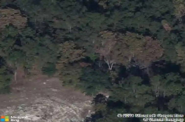 13 graceful doe ct, elgin,  SC 29045