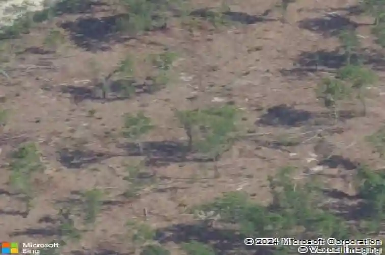 202 ridley hill ln, elgin,  SC 29045