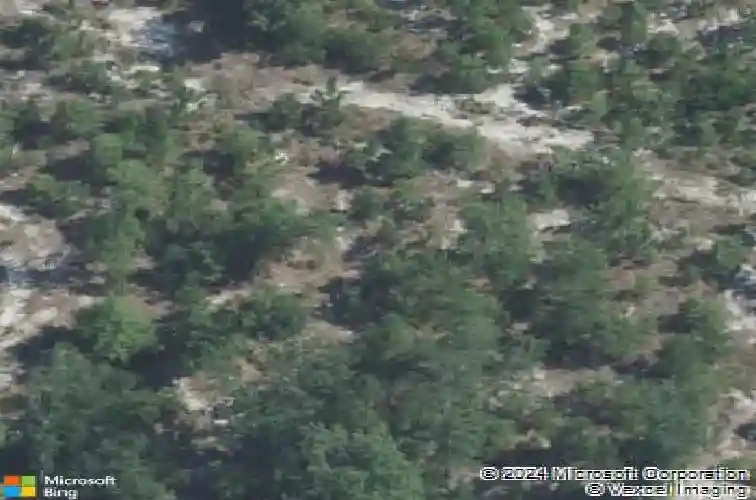 137 bolter ln, elgin,  SC 29045