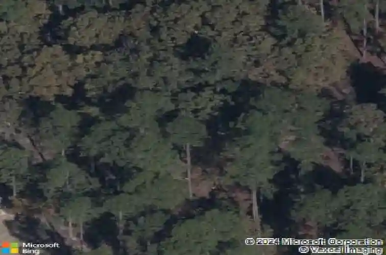 409 layup cir, elgin,  SC 29045