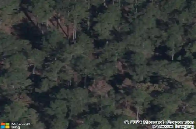 425 layup cir, elgin,  SC 29045