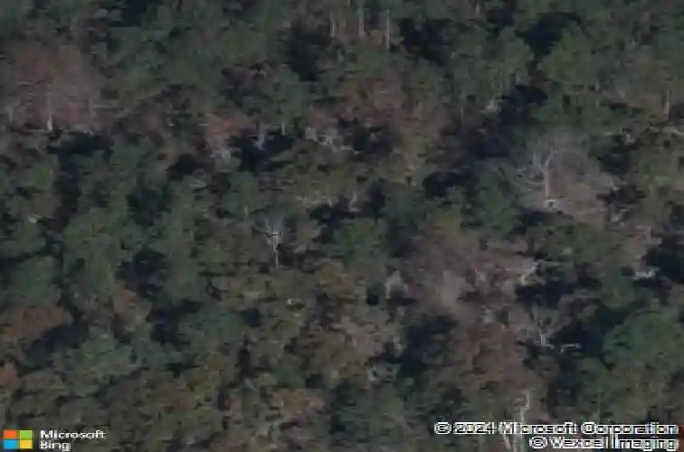 7009 kanga trl, elgin,  SC 29045