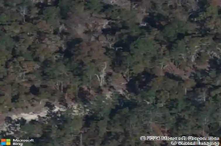 7001 kanga trl, elgin,  SC 29045