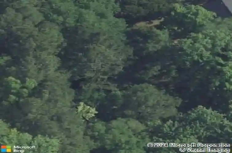 725 green branch ct, columbia,  SC 29212