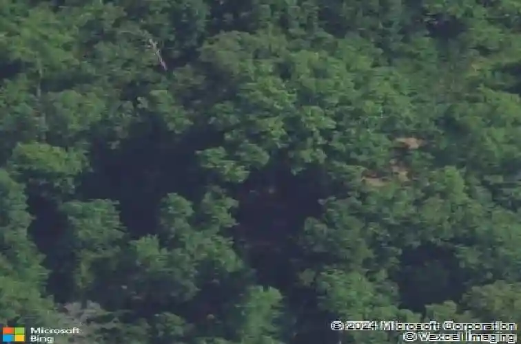 333 wahoo cir, irmo,  SC 29063