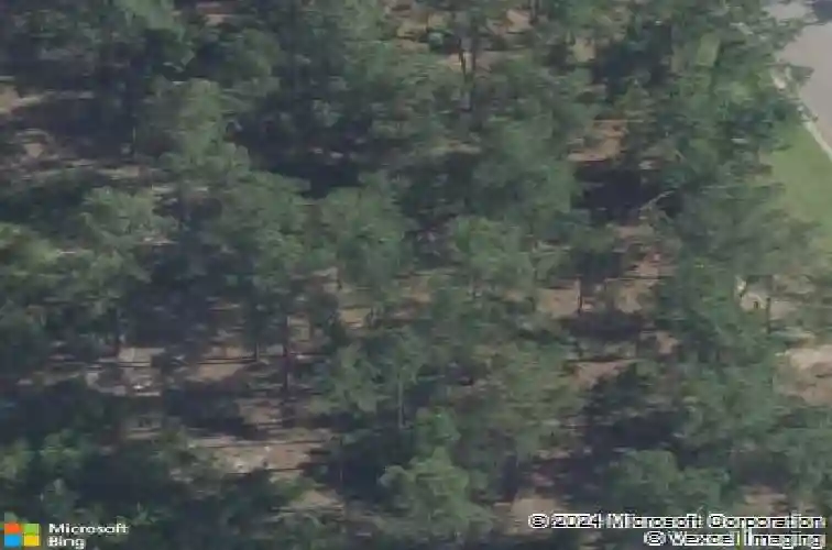 104 saltgrass ln, elgin,  SC 29045