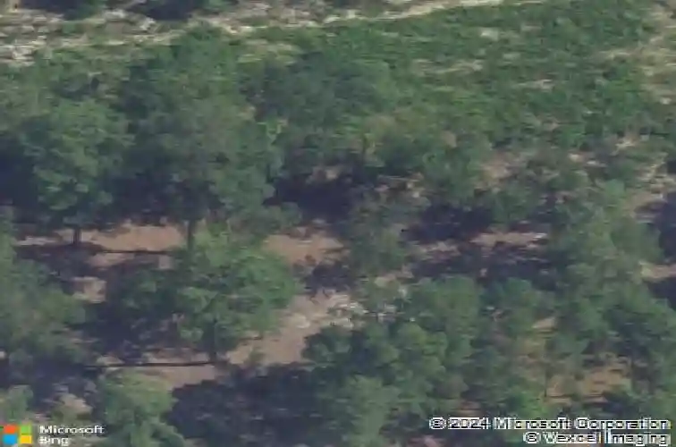 264 feather reed ln, elgin,  SC 29045