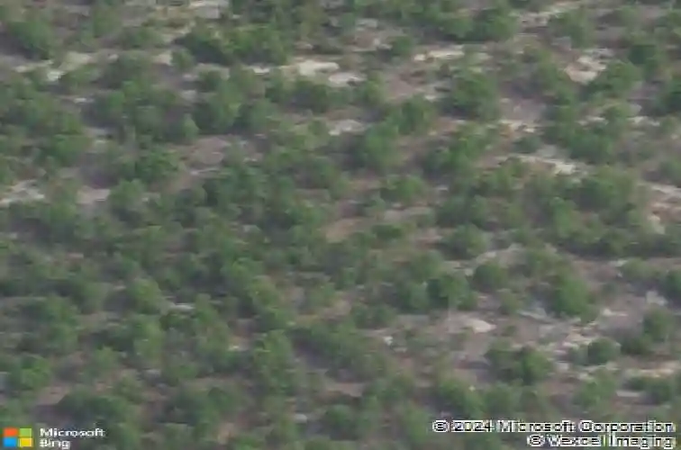 1003 cornelia st, elgin,  SC 29045