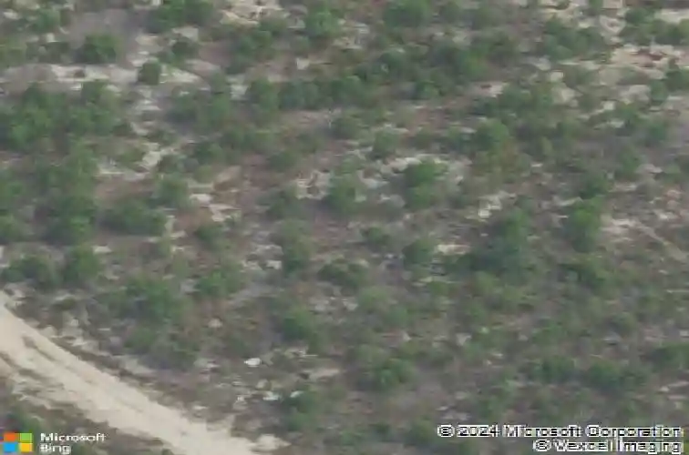 2027 day lily way, elgin,  SC 29045