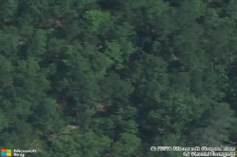 146 dunham rd, columbia,  SC 29209