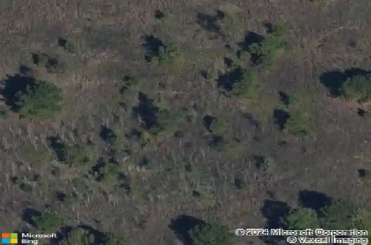 133 champions ridge ct, hopkins,  SC 29061