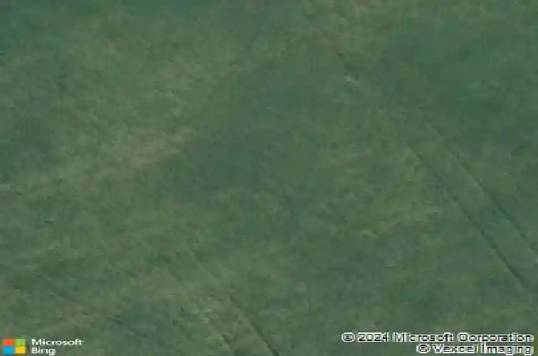 2011 orchard oak trl, columbia,  SC 29209