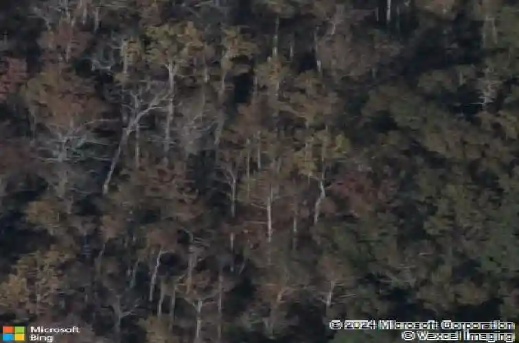 1232 deep creek rd, blythewood,  SC 29016