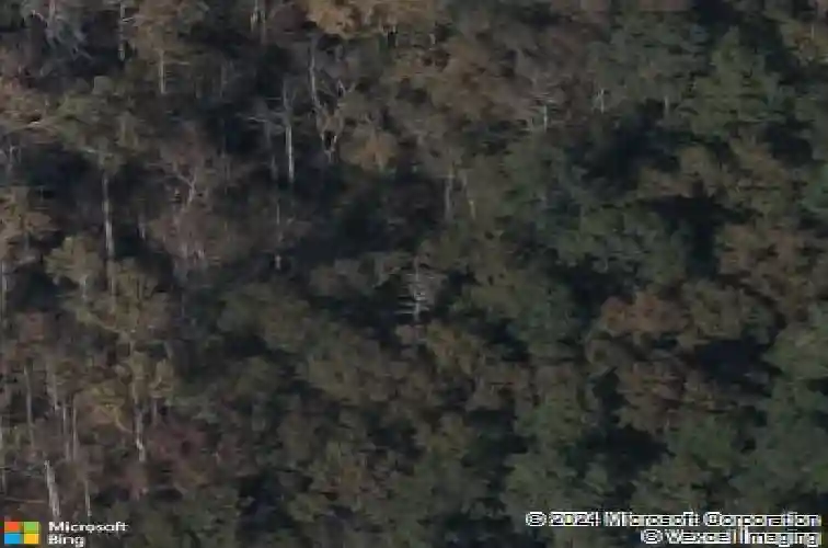  blythewood,  SC 29016